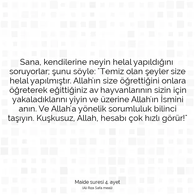 Ayetbul | Kuran Mealleri | Quran | Maide suresi 4. ayet