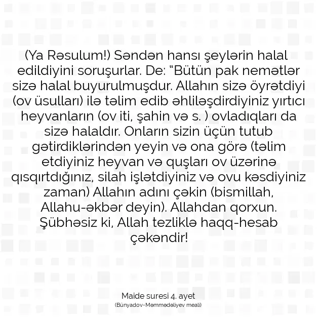 Ayetbul | Kuran Mealleri | Quran | Maide suresi 4. ayet