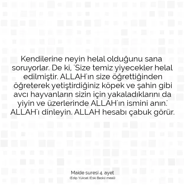 Ayetbul | Kuran Mealleri | Quran | Maide suresi 4. ayet