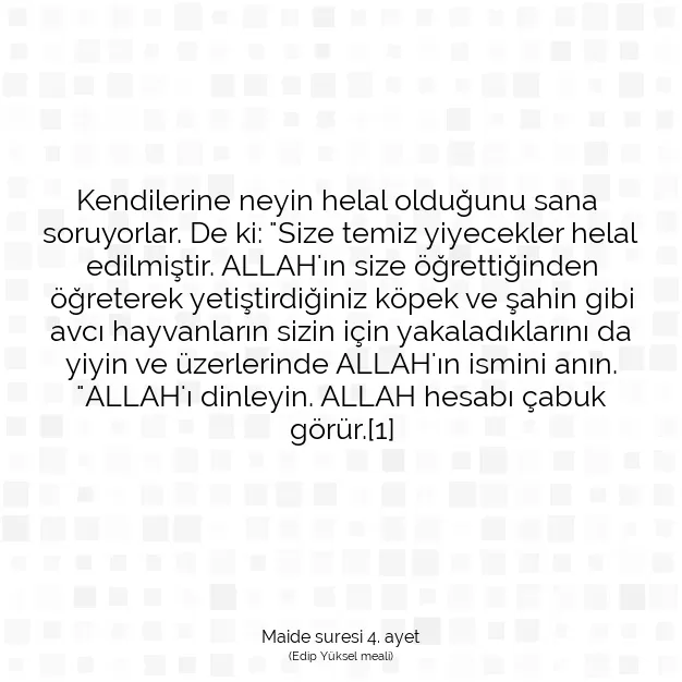 Ayetbul | Kuran Mealleri | Quran | Maide suresi 4. ayet