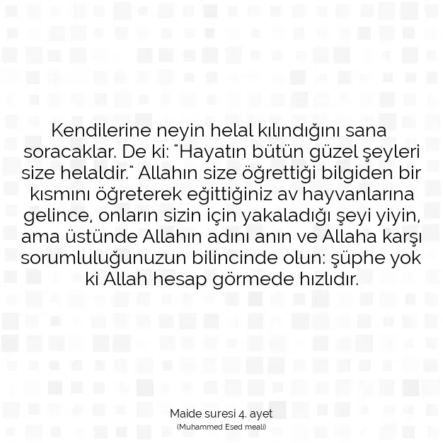 Ayetbul | Kuran Mealleri | Quran | Maide suresi 4. ayet