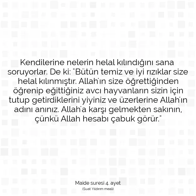 Ayetbul | Kuran Mealleri | Quran | Maide suresi 4. ayet