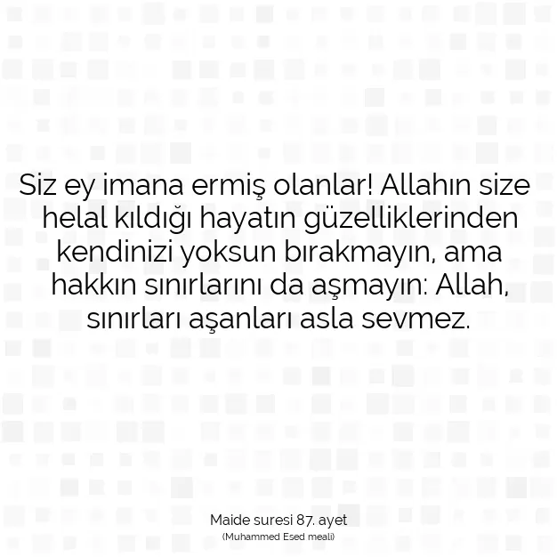 Ayetbul | Kuran Mealleri | Quran | Maide suresi 87. ayet