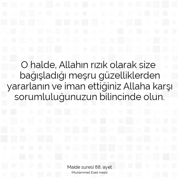 Ayetbul | Kuran Mealleri | Quran | Maide suresi 88. ayet