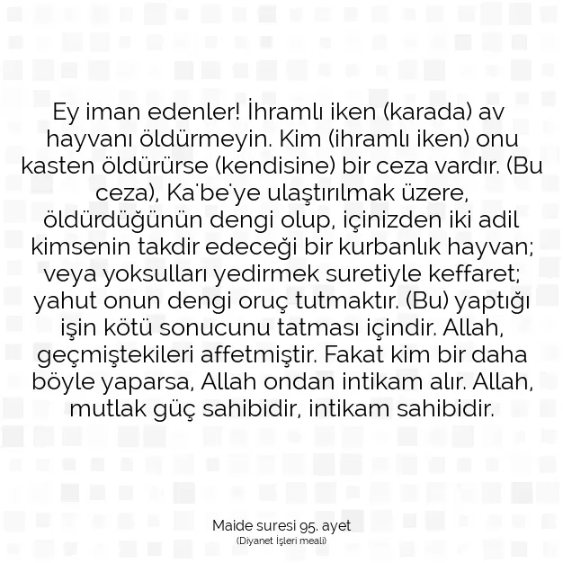 Ayetbul | Kuran Mealleri | Quran | Maide suresi 95. ayet