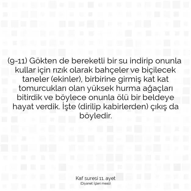 Ayetbul | Kuran Mealleri | Quran | Kaf suresi 11. ayet