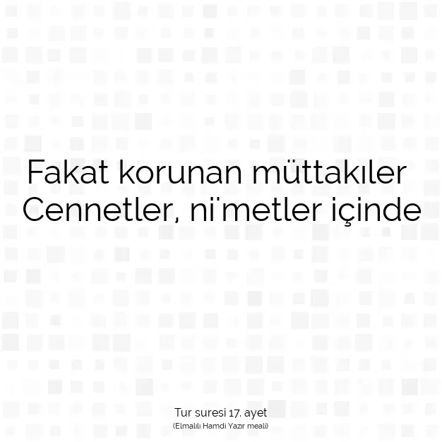 Ayetbul | Kuran Mealleri | Quran | Tur suresi 17. ayet