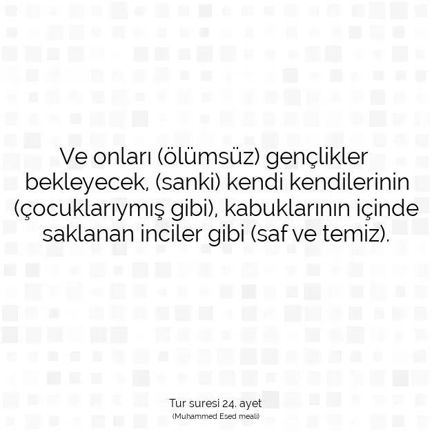 Ayetbul | Kuran Mealleri | Quran | Tur suresi 24. ayet