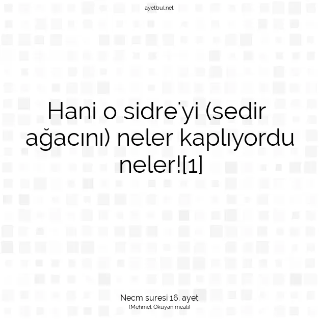 Ayetbul | Kuran Mealleri | Quran | Necm suresi 16. ayet
