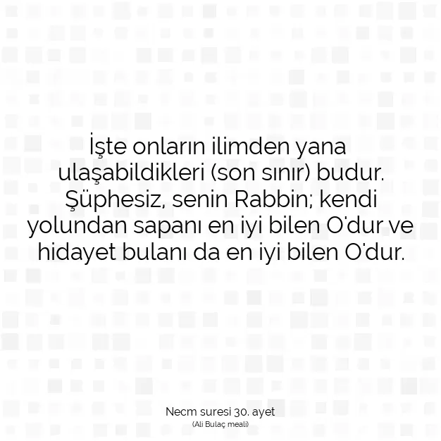 Ayetbul | Kuran Mealleri | Quran | Necm suresi 30. ayet