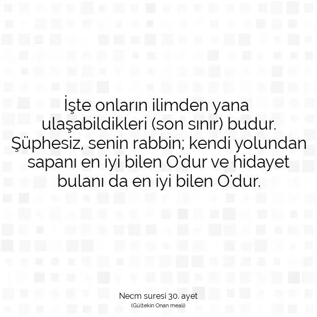 Ayetbul | Kuran Mealleri | Quran | Necm suresi 30. ayet