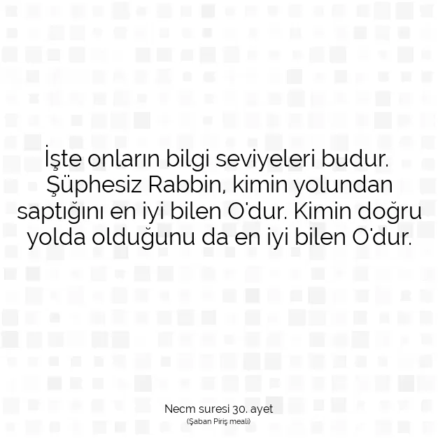 Ayetbul | Kuran Mealleri | Quran | Necm suresi 30. ayet