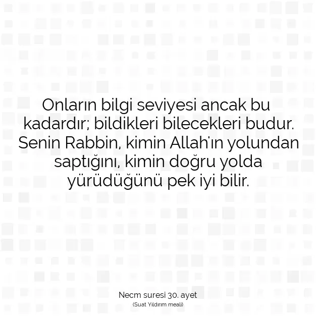 Ayetbul | Kuran Mealleri | Quran | Necm suresi 30. ayet