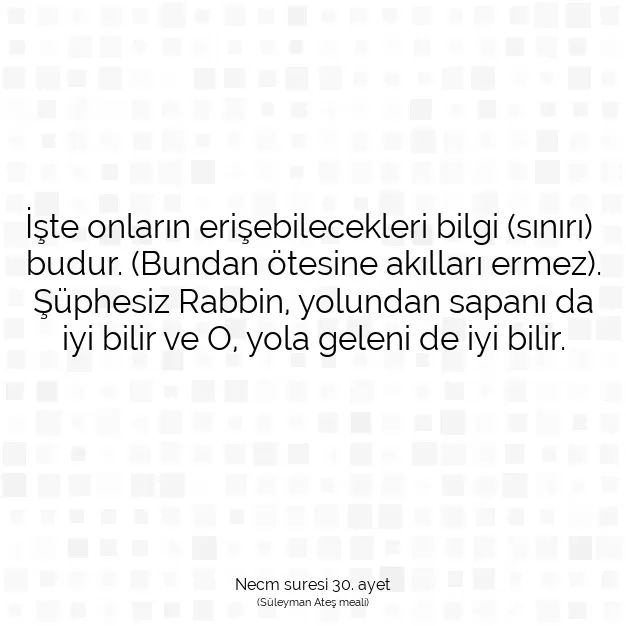 Ayetbul | Kuran Mealleri | Quran | Necm suresi 30. ayet