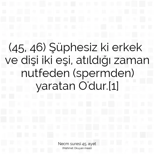 Ayetbul | Kuran Mealleri | Quran | Necm suresi 45. ayet