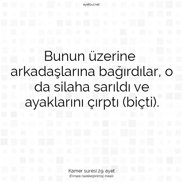 Ayetbul | Kuran Mealleri | Quran | Kamer suresi 29. ayet