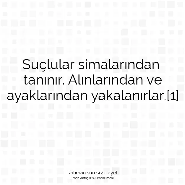 Ayetbul | Kuran Mealleri | Quran | Rahman suresi 41. ayet