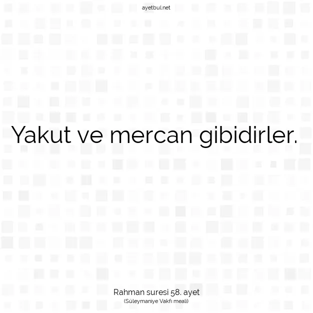 Ayetbul | Kuran Mealleri | Quran | Rahman suresi 58. ayet