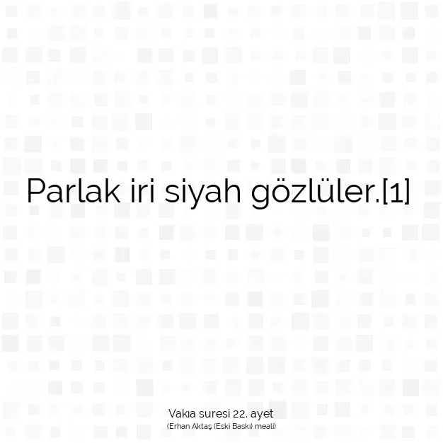 Ayetbul | Kuran Mealleri | Quran | Vakıa suresi 22. ayet