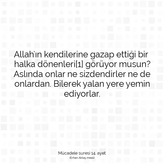 Ayetbul | Kuran Mealleri | Quran | Mücadele suresi 14. ayet