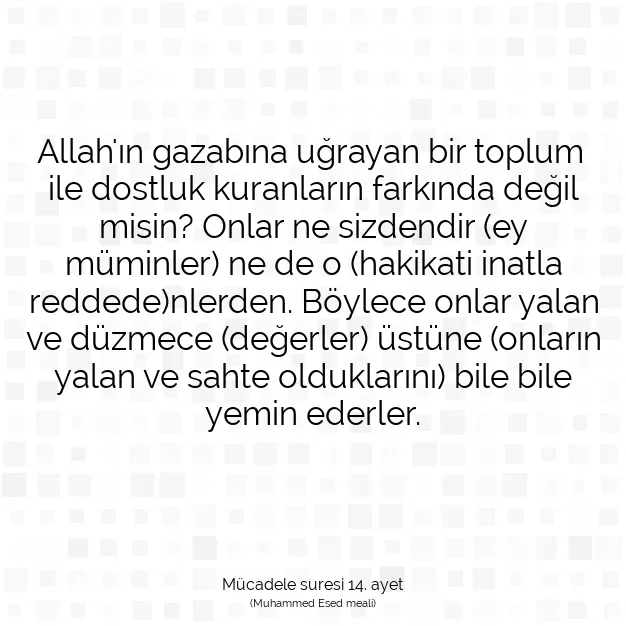 Ayetbul | Kuran Mealleri | Quran | Mücadele suresi 14. ayet