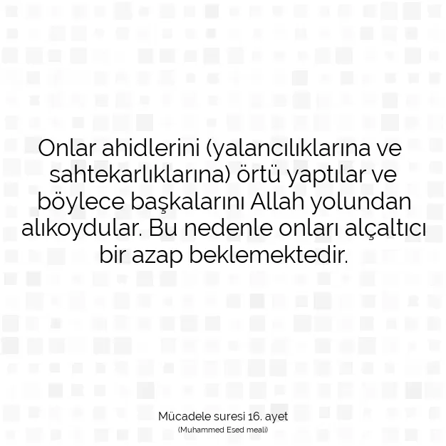 Ayetbul | Kuran Mealleri | Quran | Mücadele suresi 16. ayet