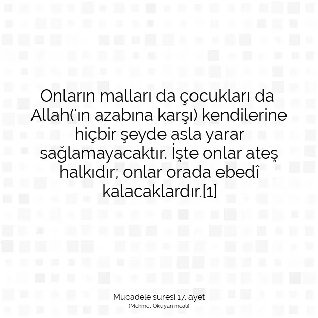 Ayetbul | Kuran Mealleri | Quran | Mücadele suresi 17. ayet