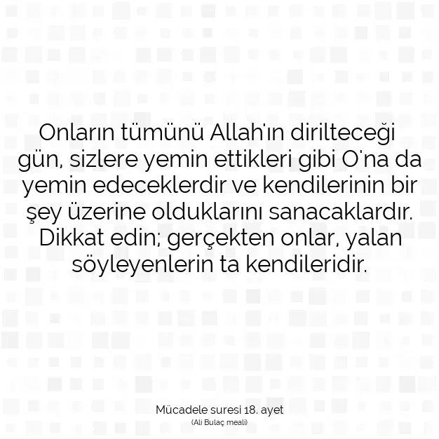 Ayetbul | Kuran Mealleri | Quran | Mücadele suresi 18. ayet