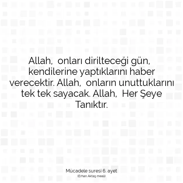 Ayetbul | Kuran Mealleri | Quran | Mücadele suresi 6. ayet