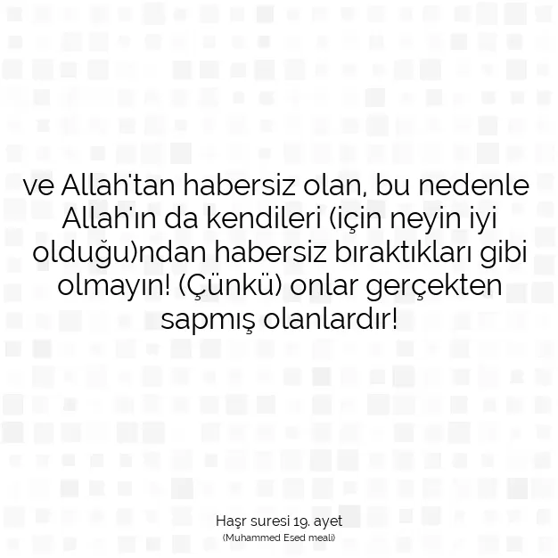 Ayetbul | Kuran Mealleri | Quran | Haşr suresi 19. ayet