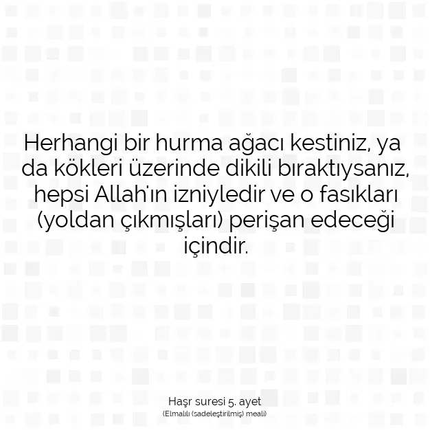 Ayetbul | Kuran Mealleri | Quran | Haşr suresi 5. ayet