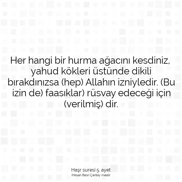 Ayetbul | Kuran Mealleri | Quran | Haşr suresi 5. ayet