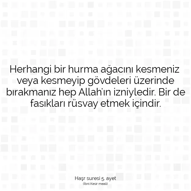 Ayetbul | Kuran Mealleri | Quran | Haşr suresi 5. ayet