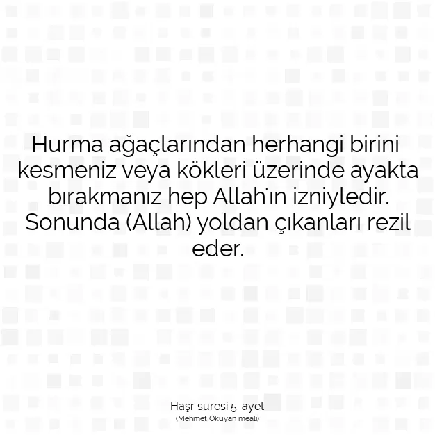 Ayetbul | Kuran Mealleri | Quran | Haşr suresi 5. ayet