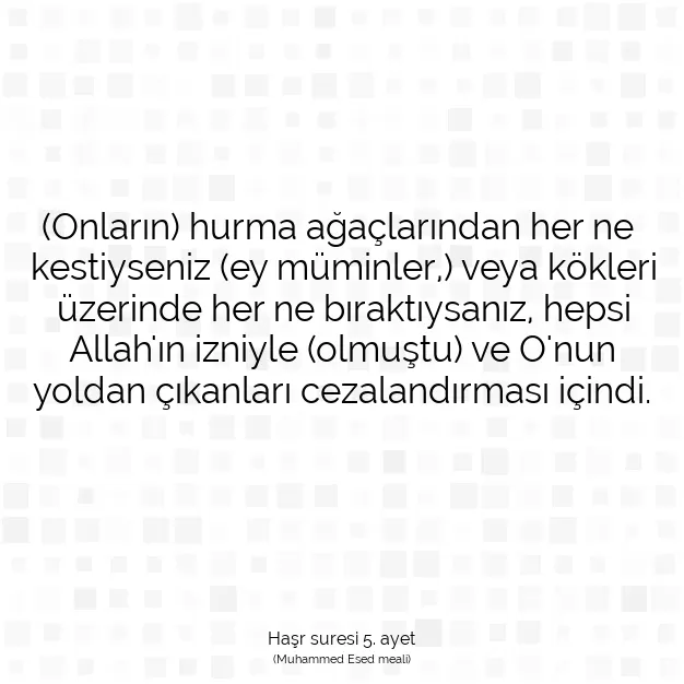 Ayetbul | Kuran Mealleri | Quran | Haşr suresi 5. ayet