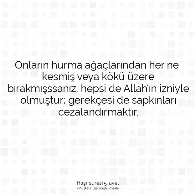 Ayetbul | Kuran Mealleri | Quran | Haşr suresi 5. ayet