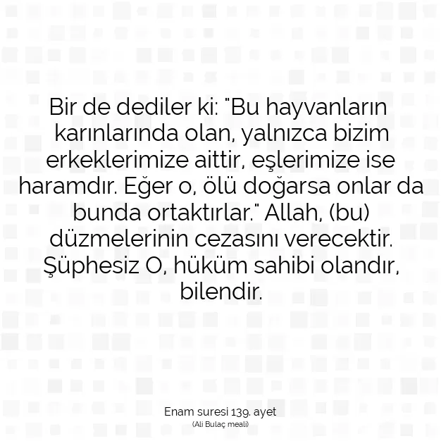 Ayetbul | Kuran Mealleri | Quran | Enam suresi 139. ayet