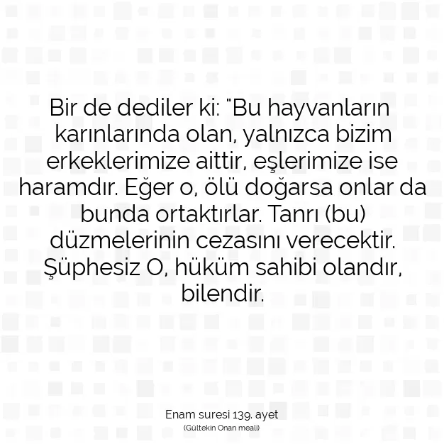 Ayetbul | Kuran Mealleri | Quran | Enam suresi 139. ayet