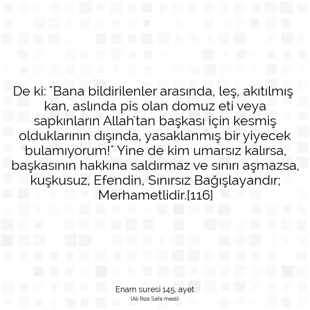 Ayetbul | Kuran Mealleri | Quran | Enam suresi 145. ayet