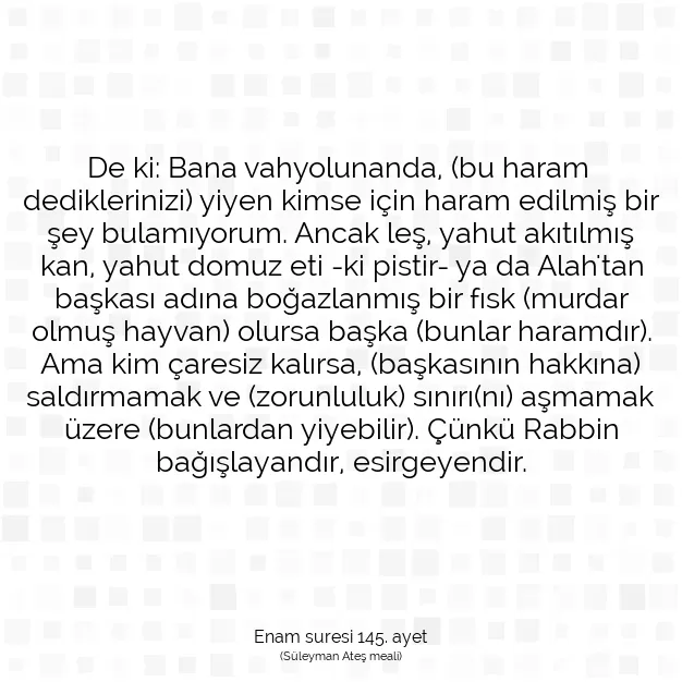 Ayetbul | Kuran Mealleri | Quran | Enam suresi 145. ayet