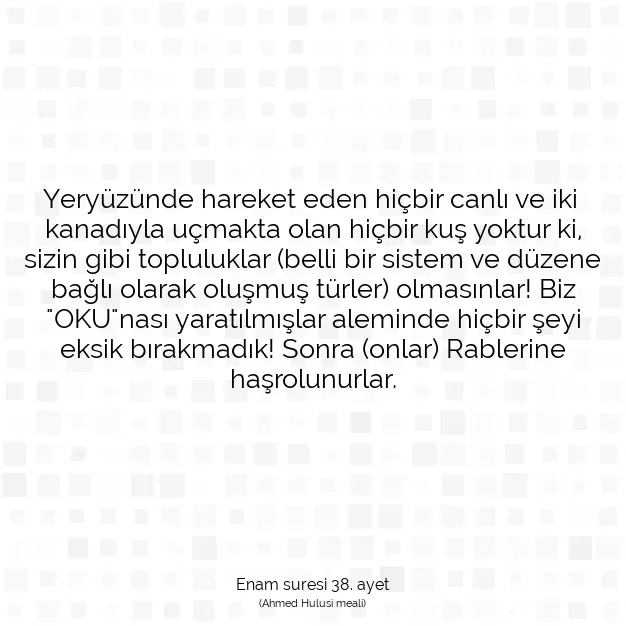 Ayetbul | Kuran Mealleri | Quran | Enam suresi 38. ayet