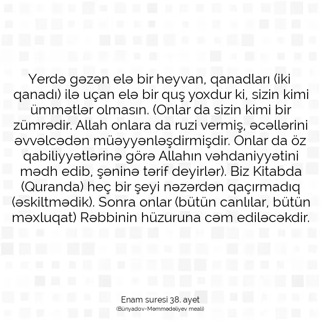 Ayetbul | Kuran Mealleri | Quran | Enam suresi 38. ayet