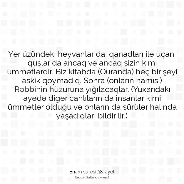 Ayetbul | Kuran Mealleri | Quran | Enam suresi 38. ayet