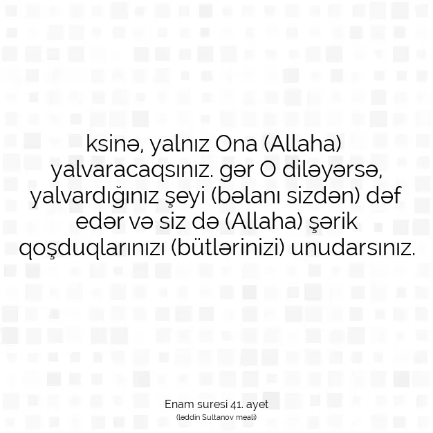 Ayetbul | Kuran Mealleri | Quran | Enam suresi 41. ayet