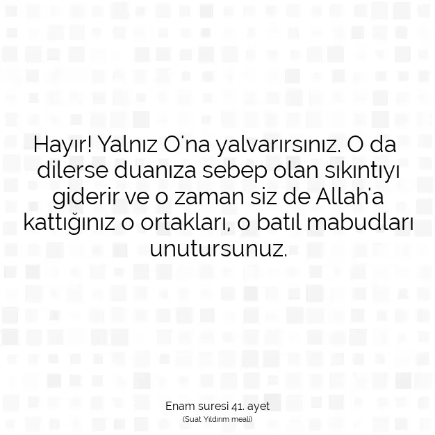 Ayetbul | Kuran Mealleri | Quran | Enam suresi 41. ayet