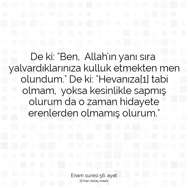 Ayetbul | Kuran Mealleri | Quran | Enam suresi 56. ayet