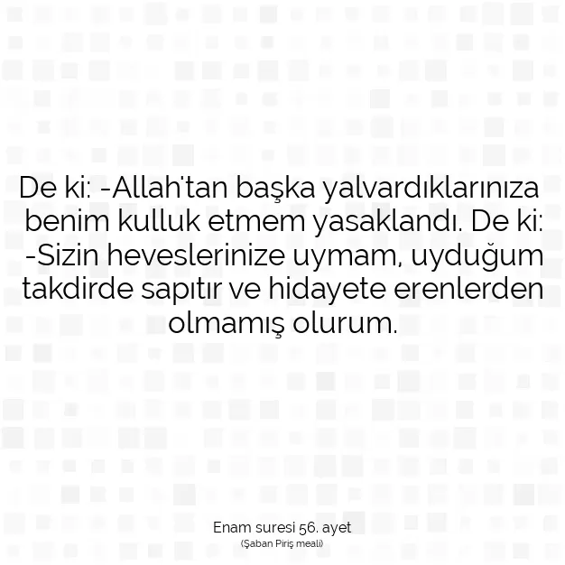 Ayetbul | Kuran Mealleri | Quran | Enam suresi 56. ayet