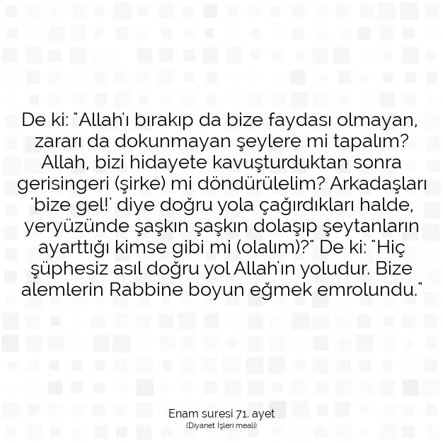 Ayetbul | Kuran Mealleri | Quran | Enam suresi 71. ayet