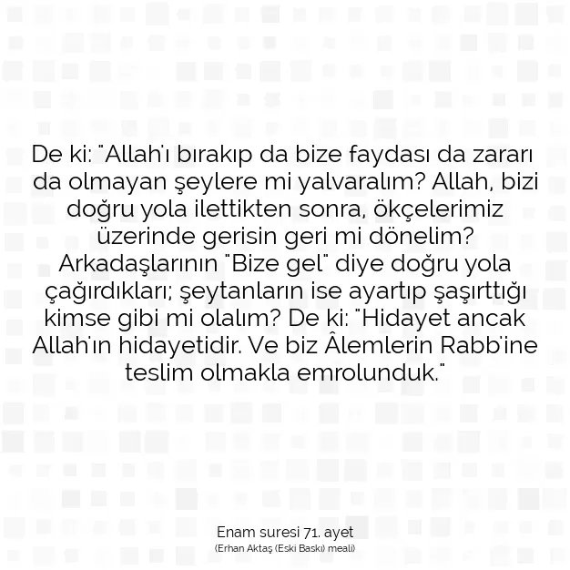 Ayetbul | Kuran Mealleri | Quran | Enam suresi 71. ayet