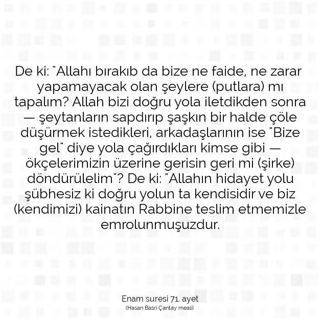 Ayetbul | Kuran Mealleri | Quran | Enam suresi 71. ayet